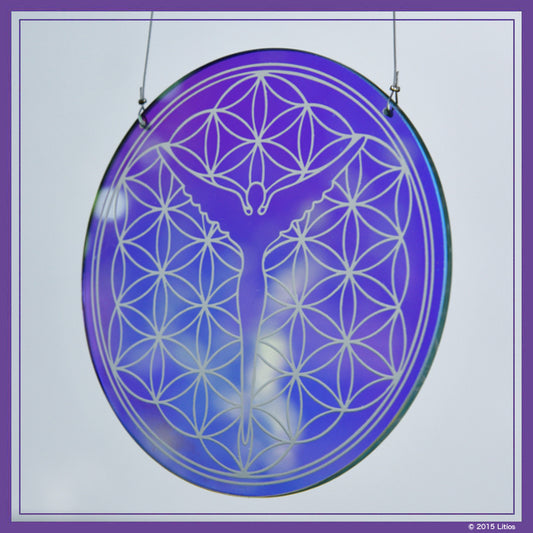 Flower of Life Disc (Large) Window into Higher Light Dimensions