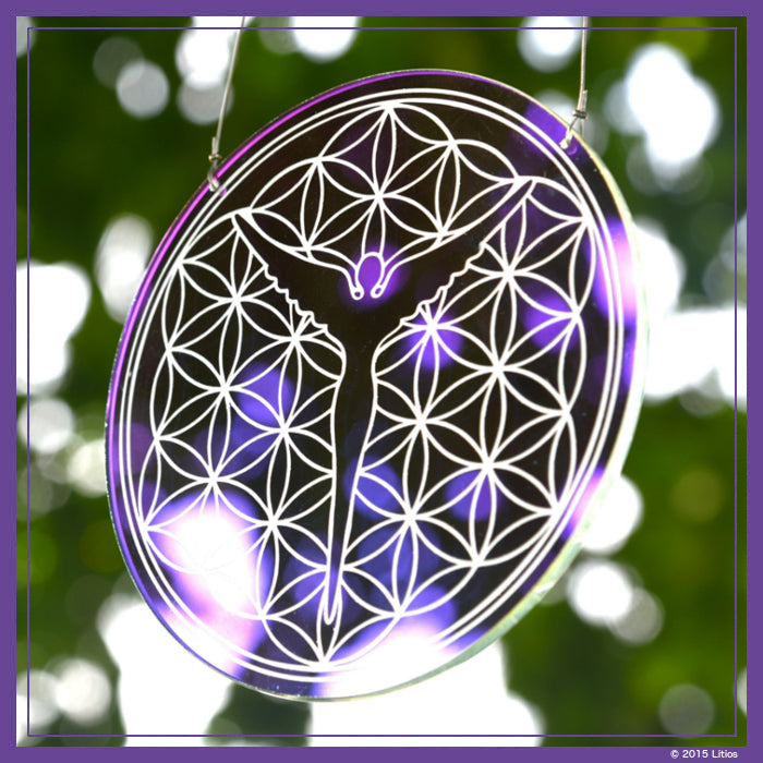 Flower of Life Disc (Large) Window into Higher Light Dimensions