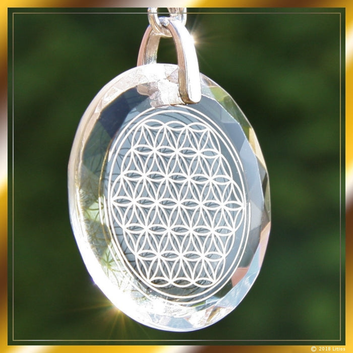 Flower of Life: The Divine Matrix