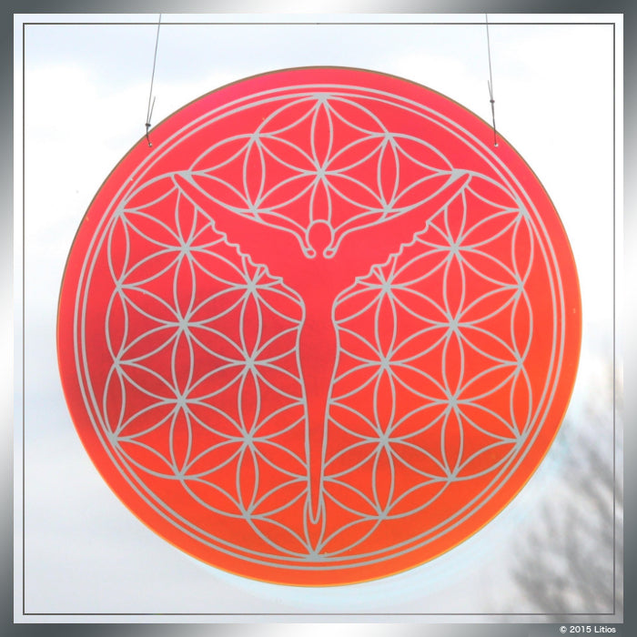 Flower of Life Disc (Small) Windows into Higher Light Dimensions